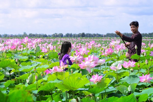 Mekong Delta