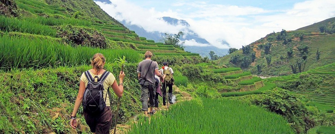 sapa-trekking