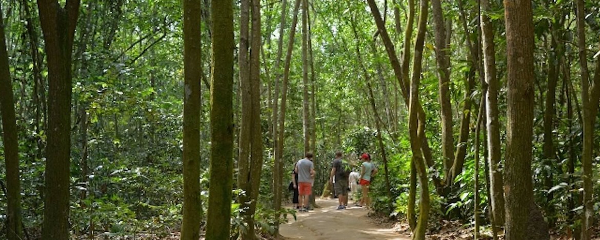 cu-chi-tunnels-vietnam