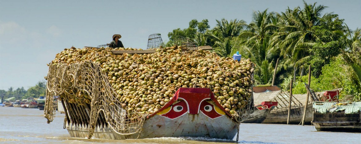 mekong_delta