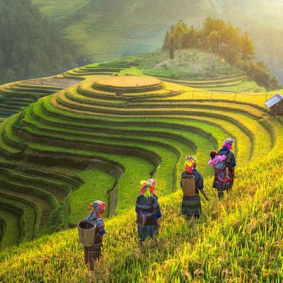 Hoang Su Phu